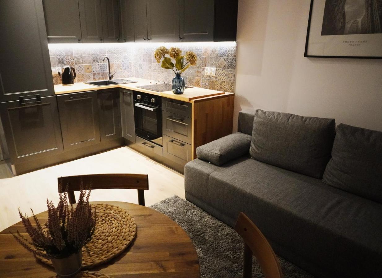 Apartment Cozy Downtown Srodmiescie Apartment: Entertainment Hub With Wi-fi