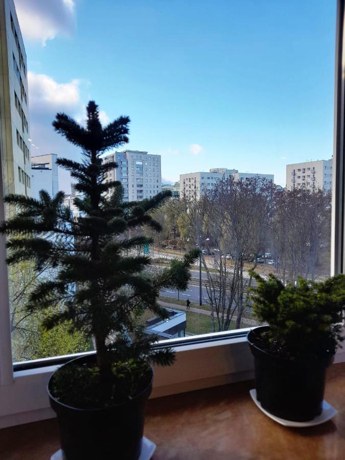 Apartment Ogrodowa *