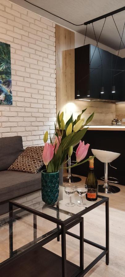 Apartment Be My Guest- Fontany Luxury Metro Wi-fi Free Parking Zone Warsaw