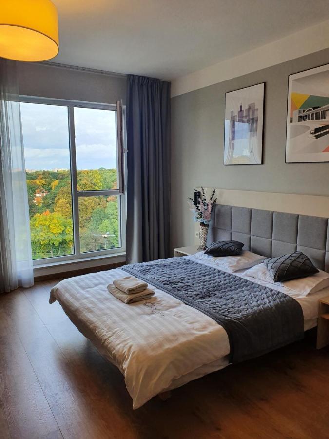 - Luxury Top-view *