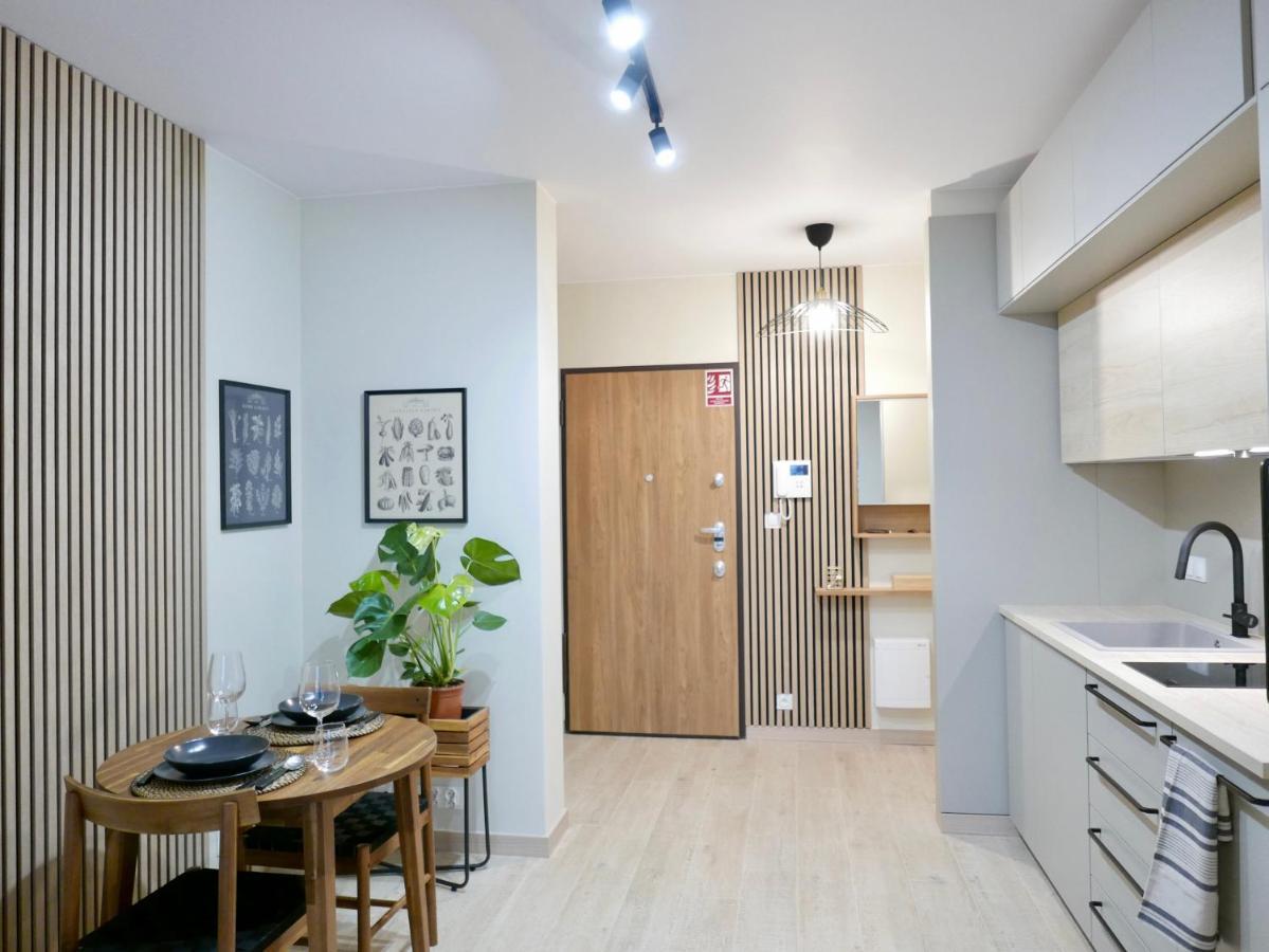 Apartament C53