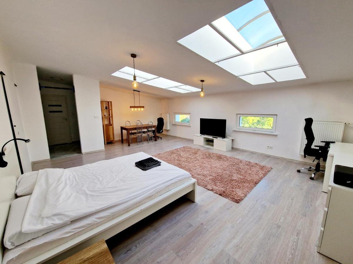 Apartament Center, 55 M2