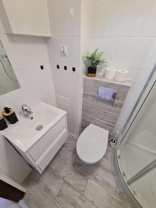 Wierzbno - Wygodny Apartament Przy Stacji Metra Căn hộ Warsaw