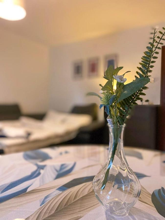 Guest house Twarda 66 W Centrum Warszawy Warsaw