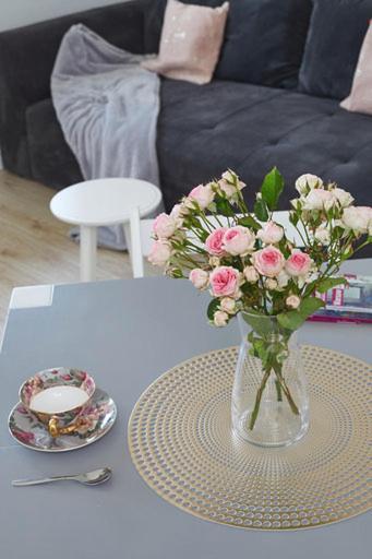 Apartamento Sliska *