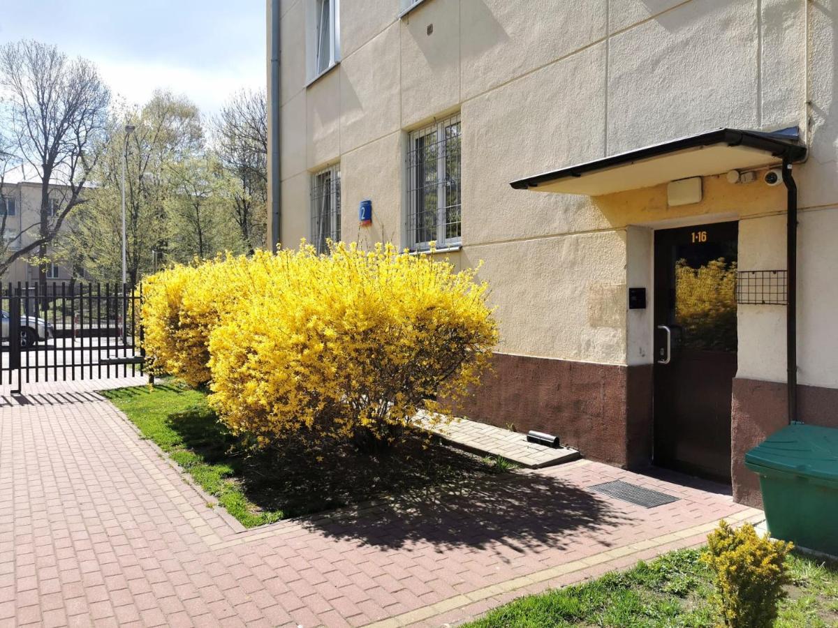 Art-studio In Saska Apartamento *