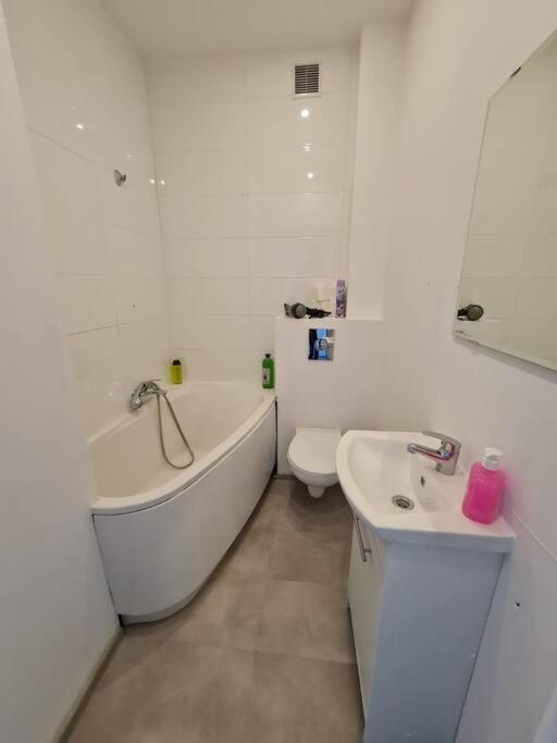 Apartment Fantastic - Kp67 E