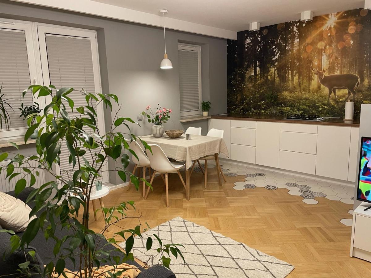 Z Tarasem Przy Parku Apartment *