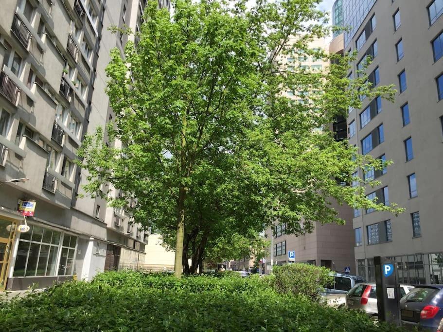 24h Check In, Aircon- Free Public Pool-fitness-sauna Apartment