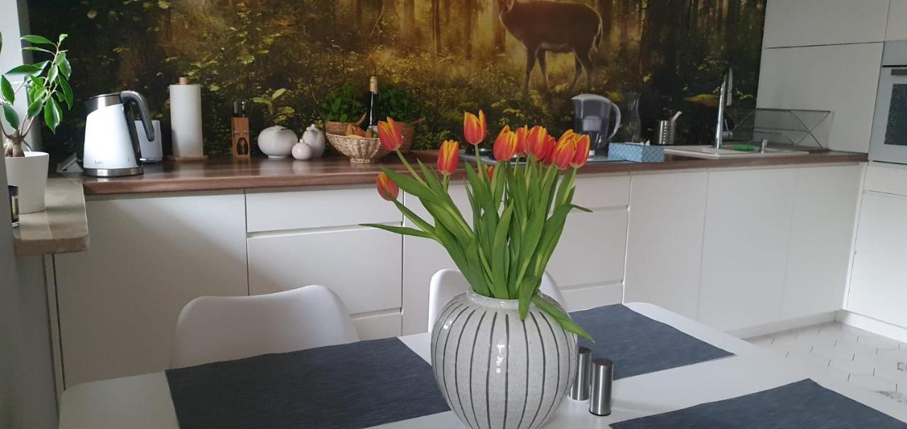 Z Tarasem Przy Parku Apartment *