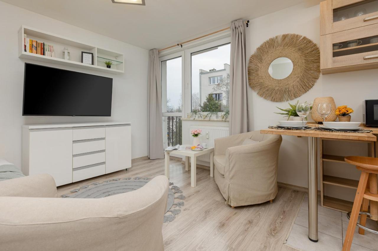 Apartment Light With Balcony By Renters
