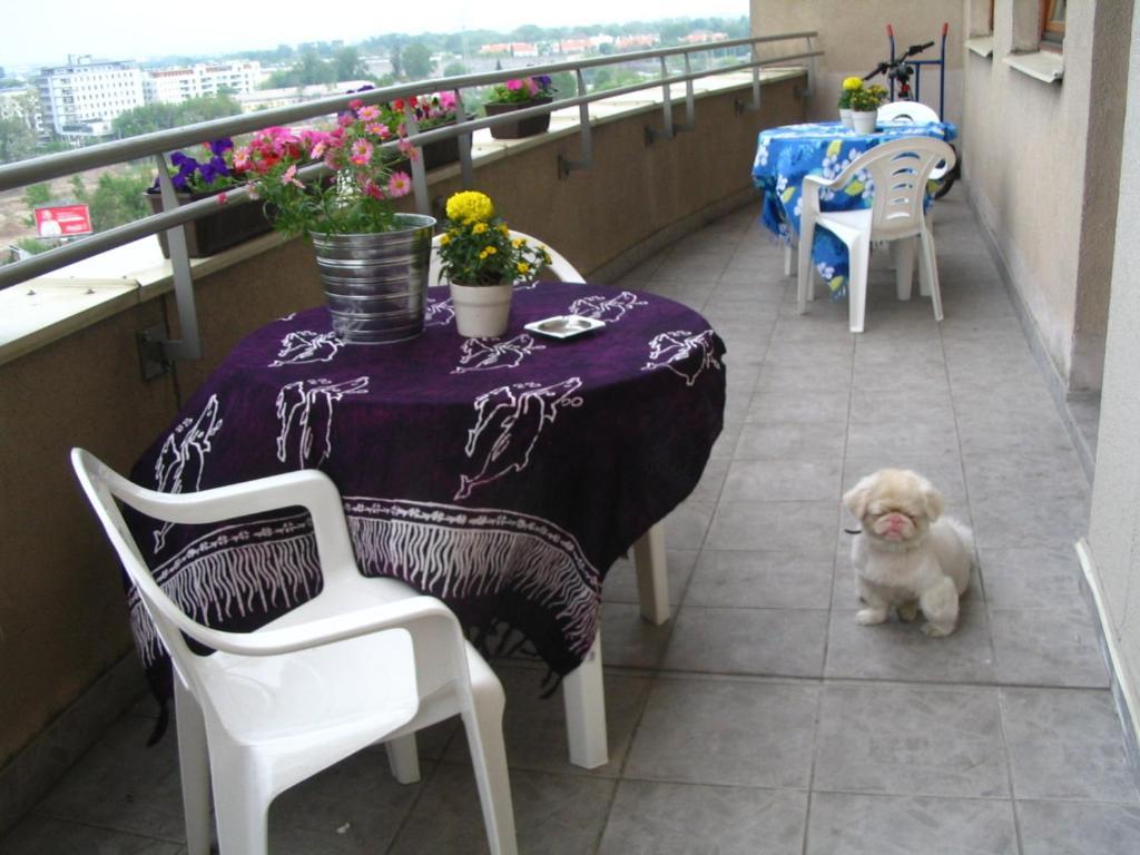 Tatamka *