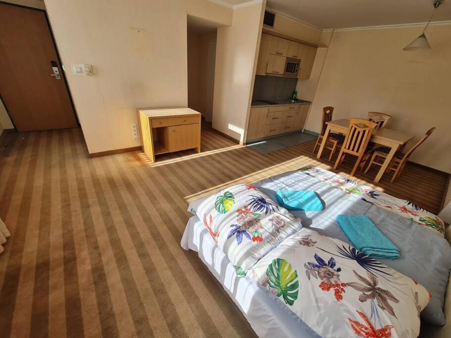 10q - Z6 501 Apartment *