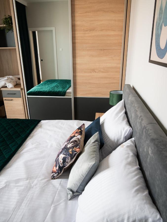 Apartment Warsview