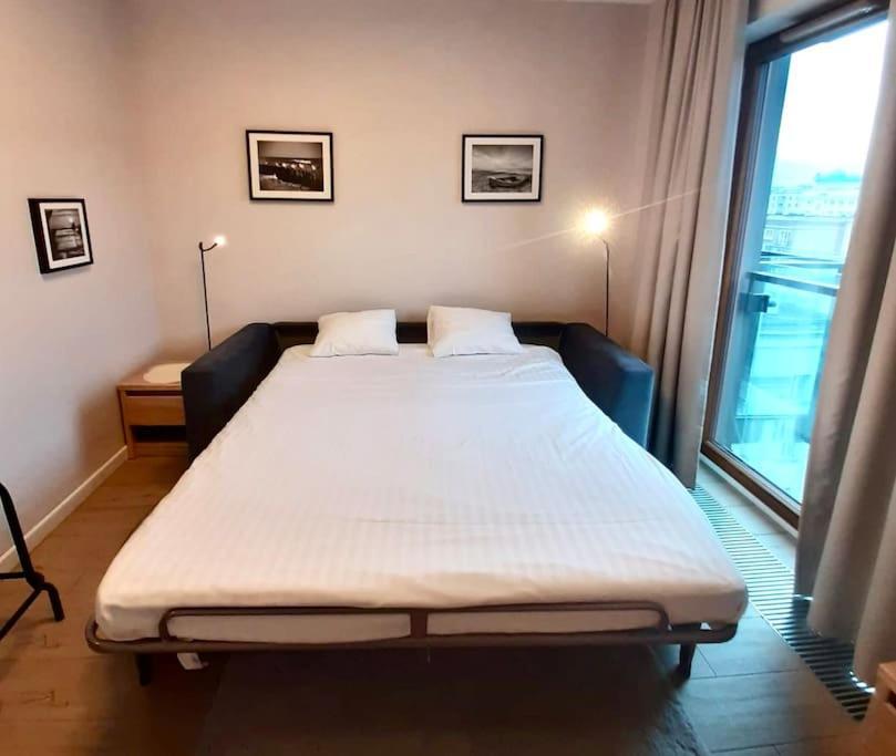 Pawia Charming Apartment