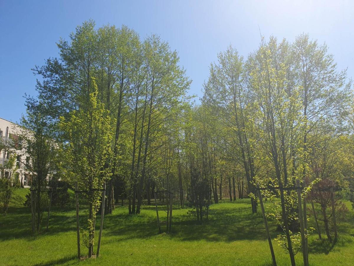 3 Pokojowy Lub W Mieszkaniu W Nowym Bloku Homestay
