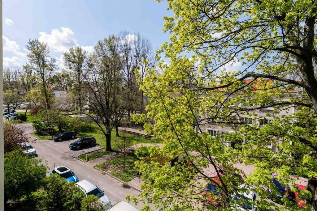 Studio Nowolipki, Central Location * Warsaw