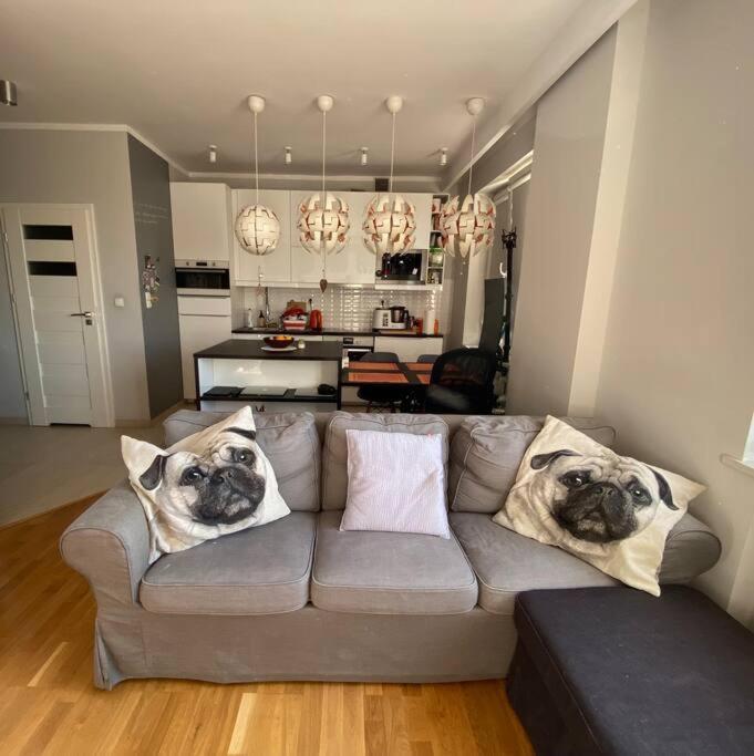 Doskonala Lokalizacja Apartament