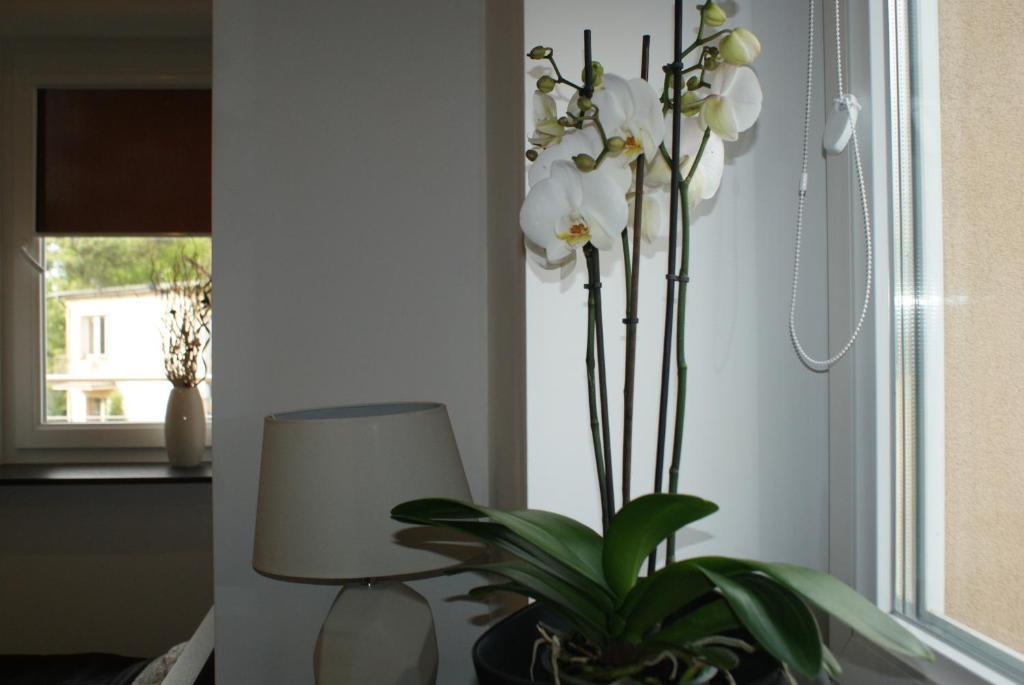 Spillo Bed & Breakfast Warsaw