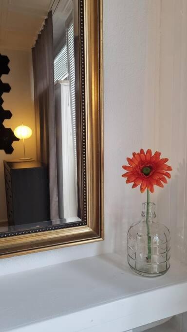 Apartment Comfort-plus Ll *