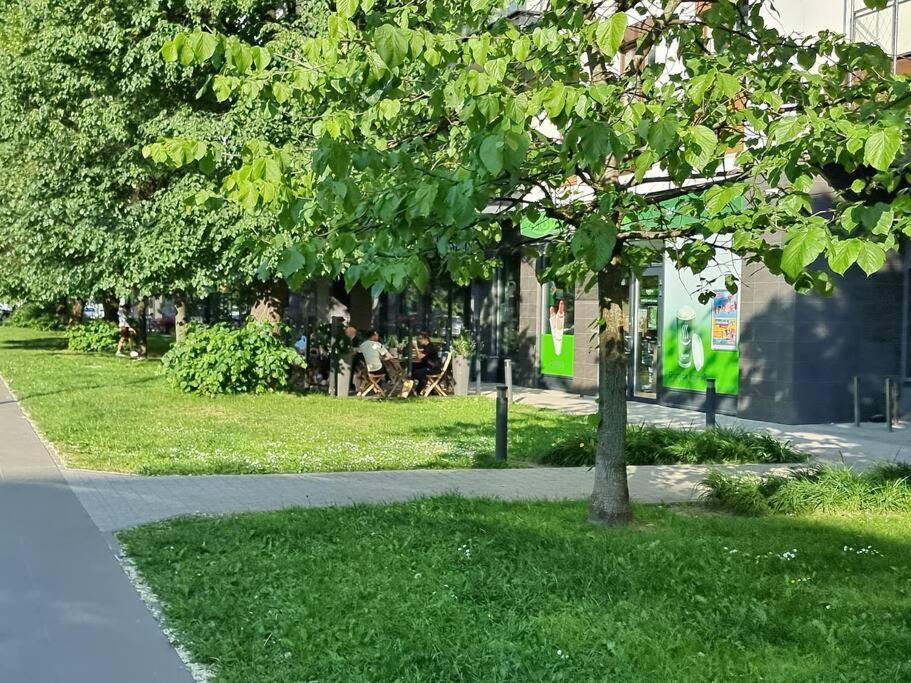 King-size Bed With Garden Apartment Warsaw