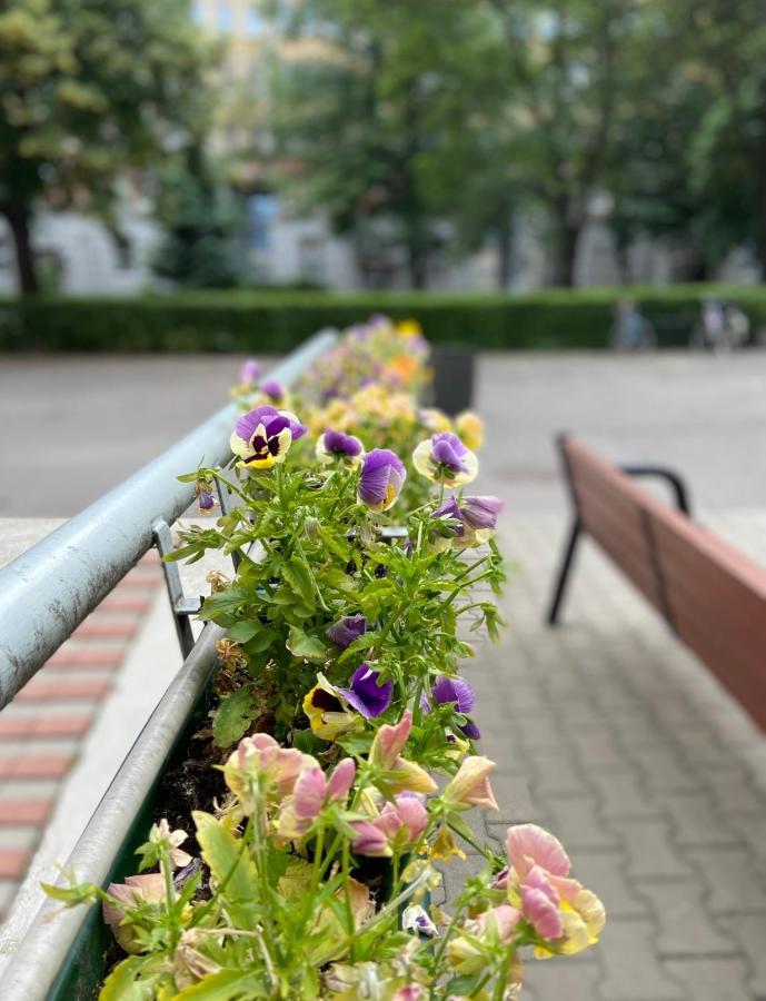Exclusive Chmielna Street 95m2 Warsaw