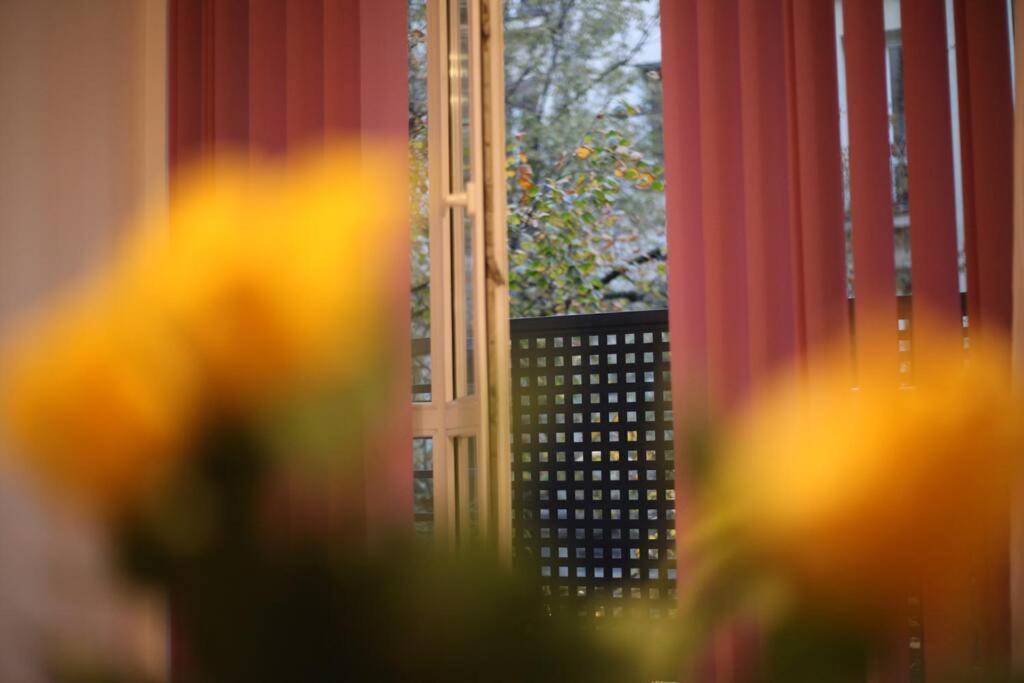 Poznanska 24, Comfort-plus Apartment, Centrum *
