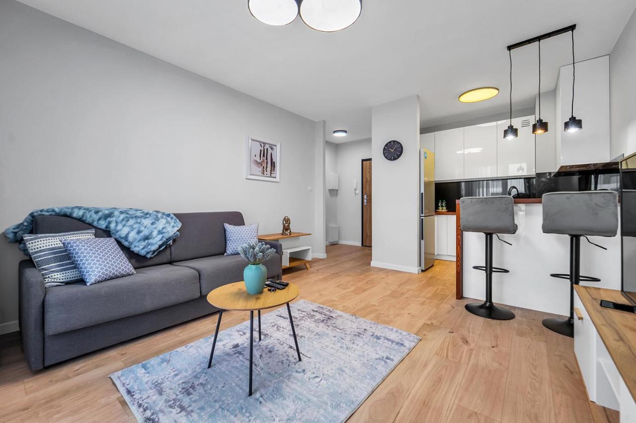 Ursus Comfy With Free Parking Warsaw
