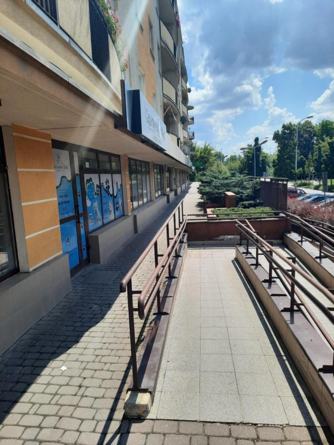 Sloneczny Apartament Bluszczanska