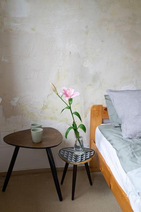 Apartament Mieszkanie Na Pradze Polnoc Warszawa