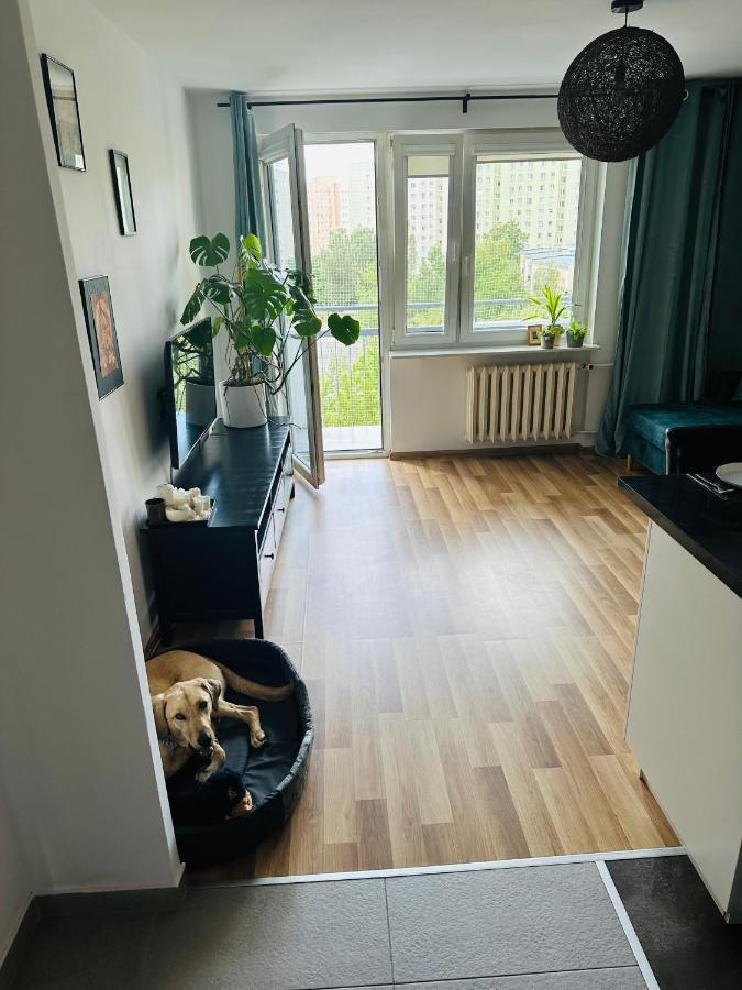 Pet's House Apartment