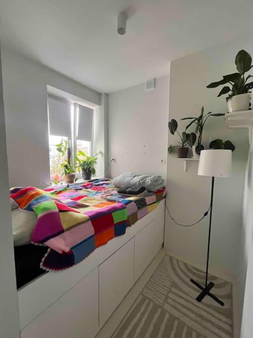 Nowoczesny Apartament Na Pradze-polnoc Apartment *