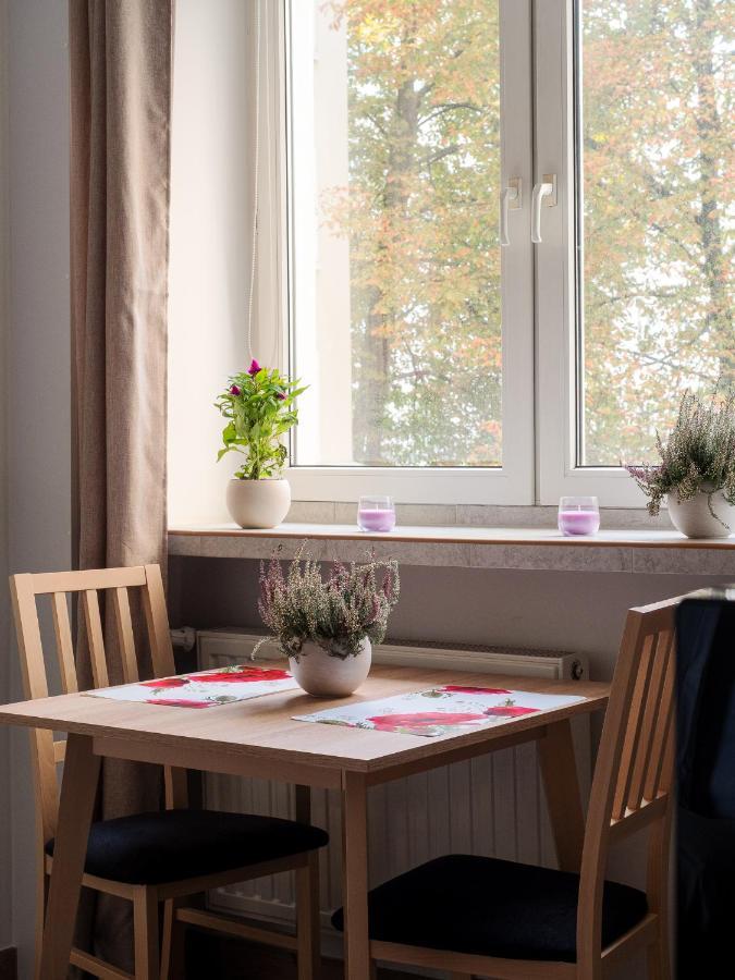 Cozy City Center Studio * Warszawa