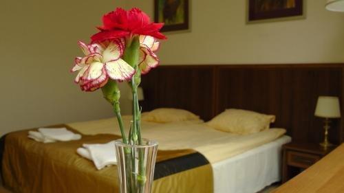 Klub Sosnowy Holiday park