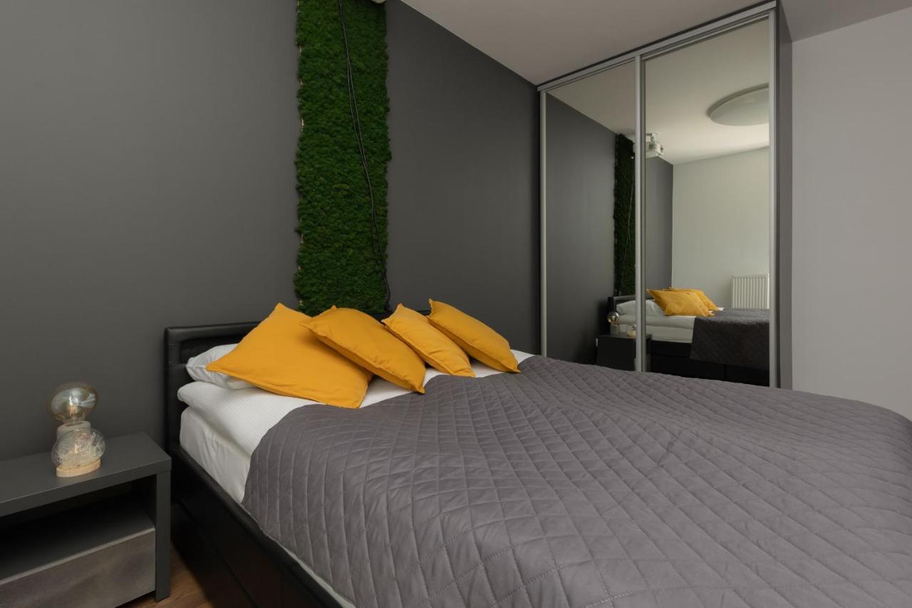 Modern Cinema Experience By Renters