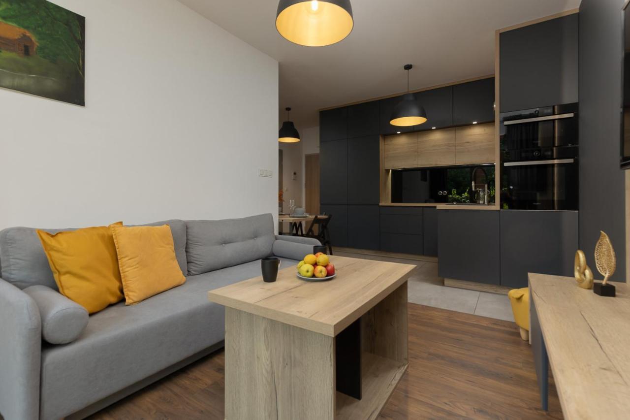 Modern Cinema Experience By Renters * Warsaw
