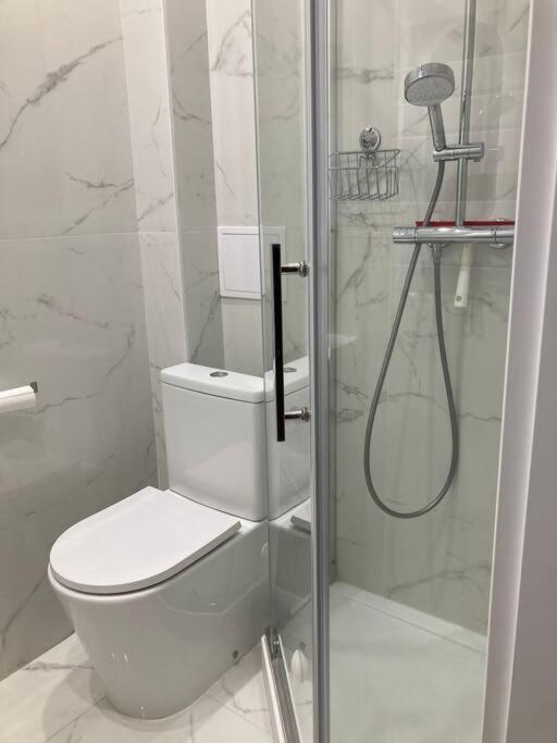 Apartment Spacious In Heart Of Warsaw