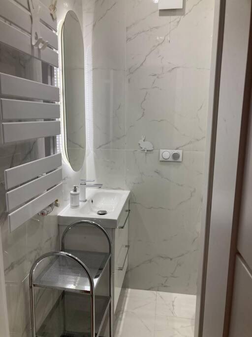 Apartment Spacious In Heart Of Warsaw