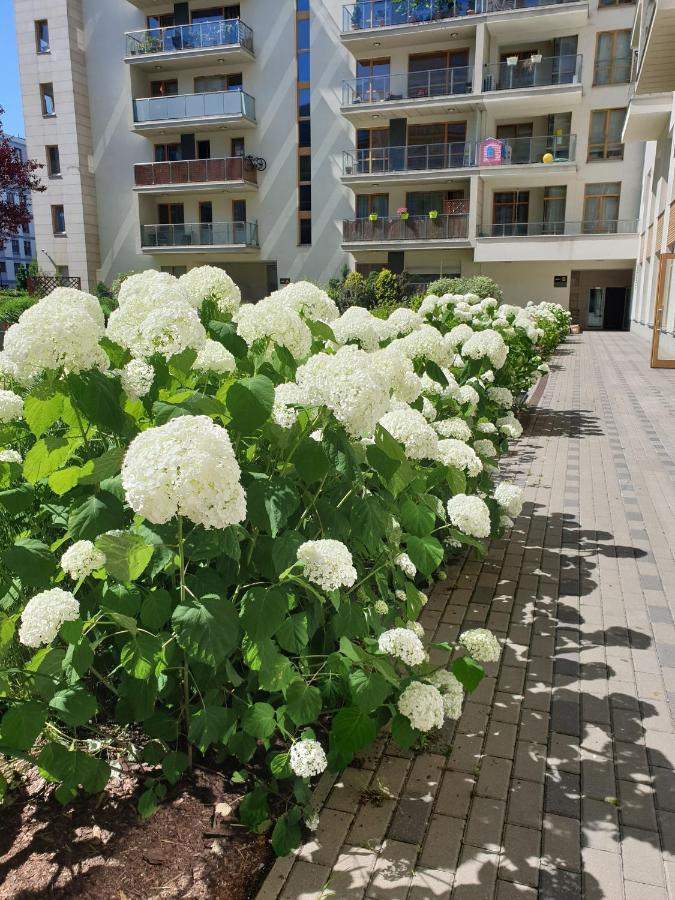 Apartamento Rodzinny Na Zoliborzu *