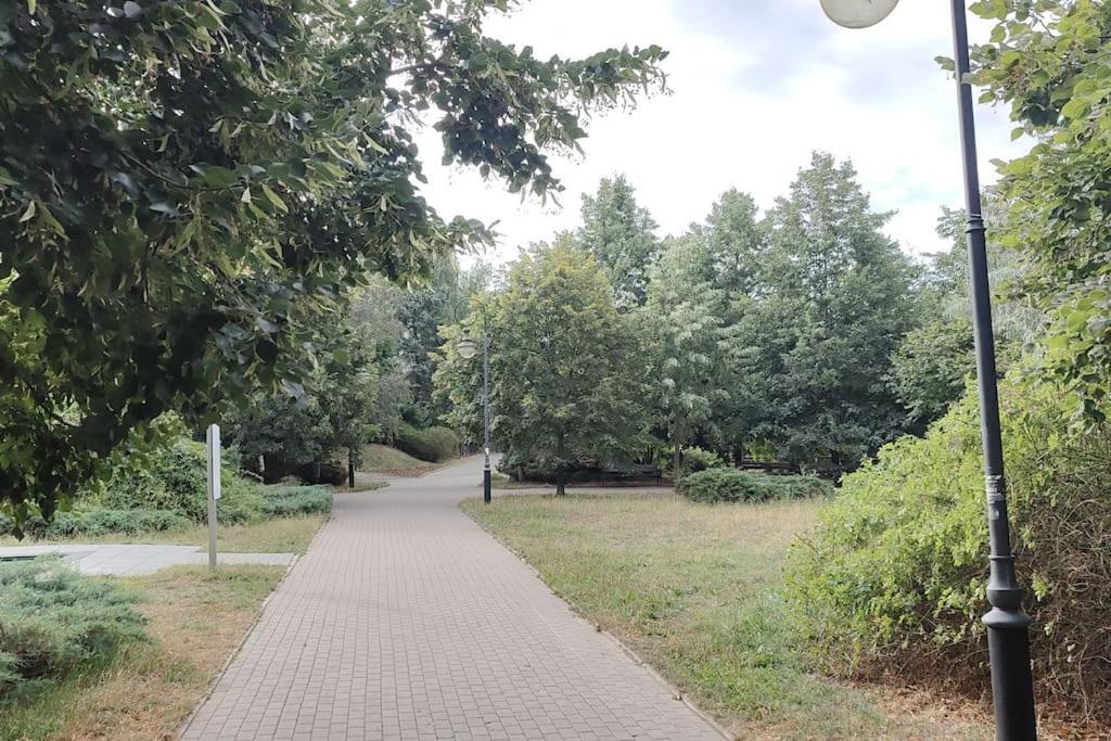 Zielona Wiolinowa * Warsaw