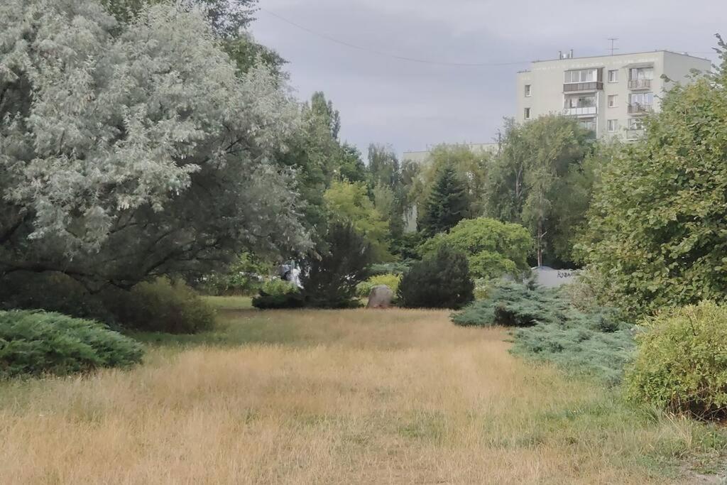 Zielona Wiolinowa *