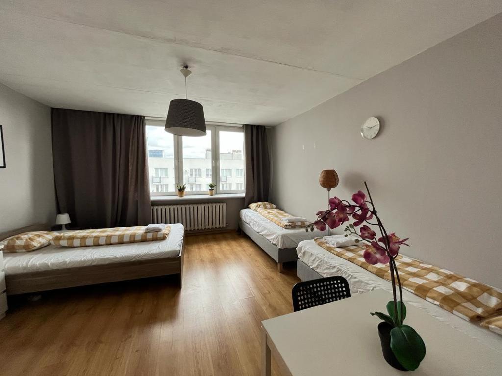 Labo Apartment Niska By Old Town *