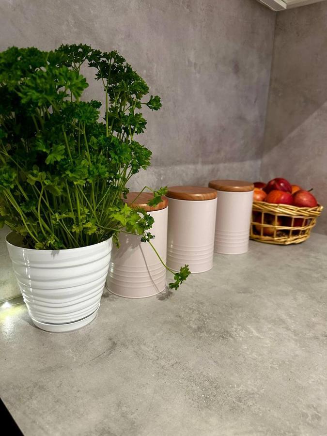 Apartment Centrum, Miejsce Parkingowe W Cenie