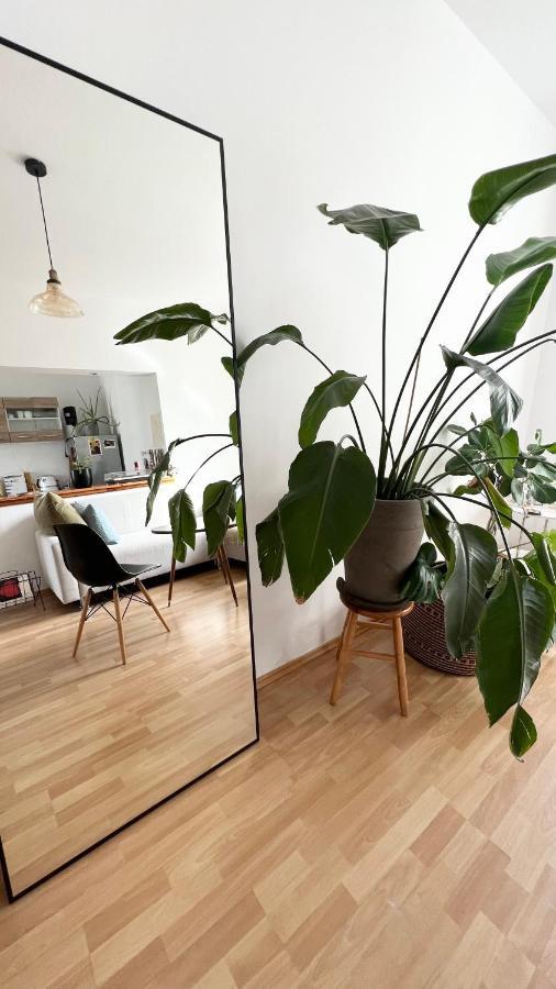 Apartment Vibey & Spacious Riverside With Fast Wifi