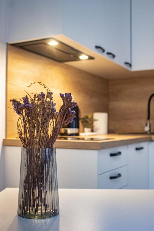 Przytulne Mieszkanie W Centrum Apartamento *