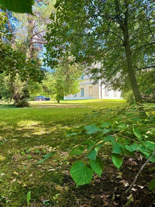 Dolna 17 - Mokotow Apartment