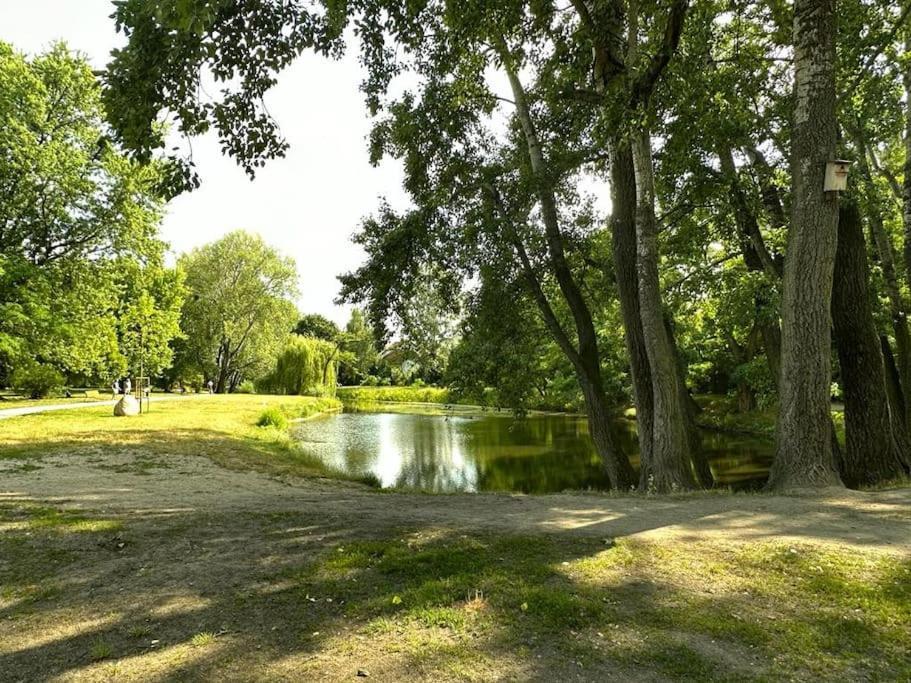 Dolna 17 - Mokotow Apartment *