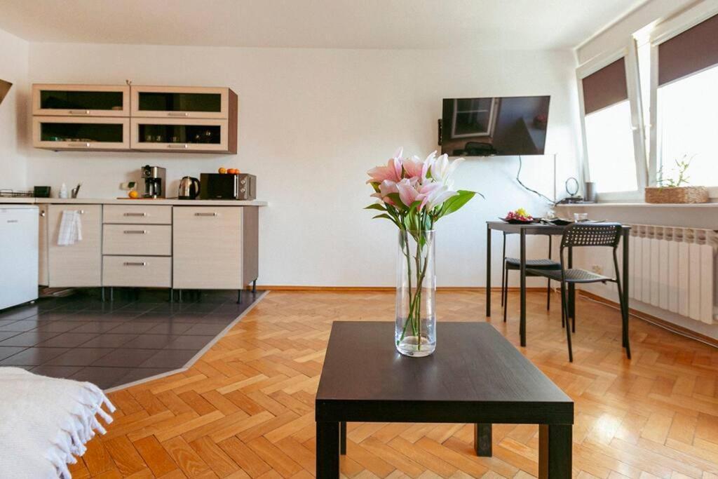 Jasna Studio. Centric Location In The Heart Of Apartment