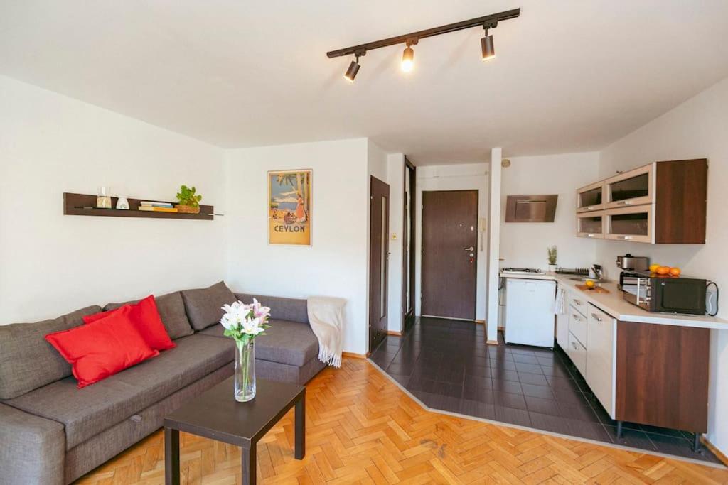 Apartment Jasna Studio. Centric Location In The Heart Of *