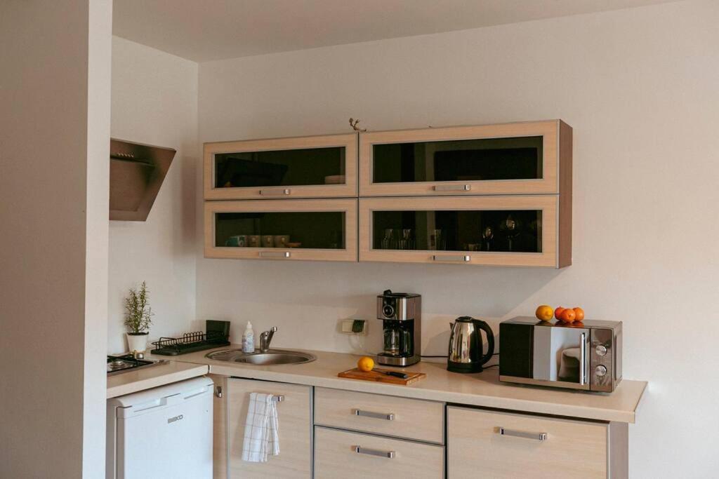Apartment Jasna Studio. Centric Location In The Heart Of